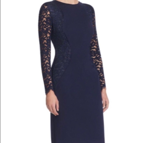 Hobbs Navy Dress with Lace-inset and Lace sleeves - Picture 1 of 3